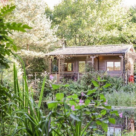 The Log Cabin Kilmore  Ngoại thất bức ảnh